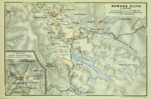 Nuwara_Eliya_Srilanka_Ceylontastic_2024